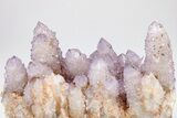 Cactus Quartz (Amethyst) Crystal Cluster - South Africa #207562-2